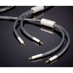 Ansuz Speakz P 2, begagnad