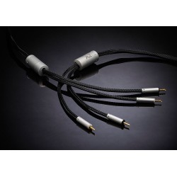 Ansuz Speakz A 2, demoexemplar