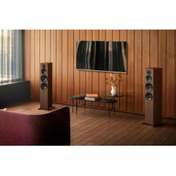 Dynaudio Focus 50